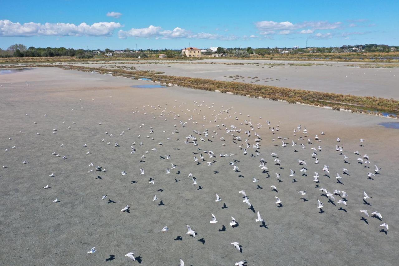 Sirena Apartments Llido Degli Estensi Kültér fotó